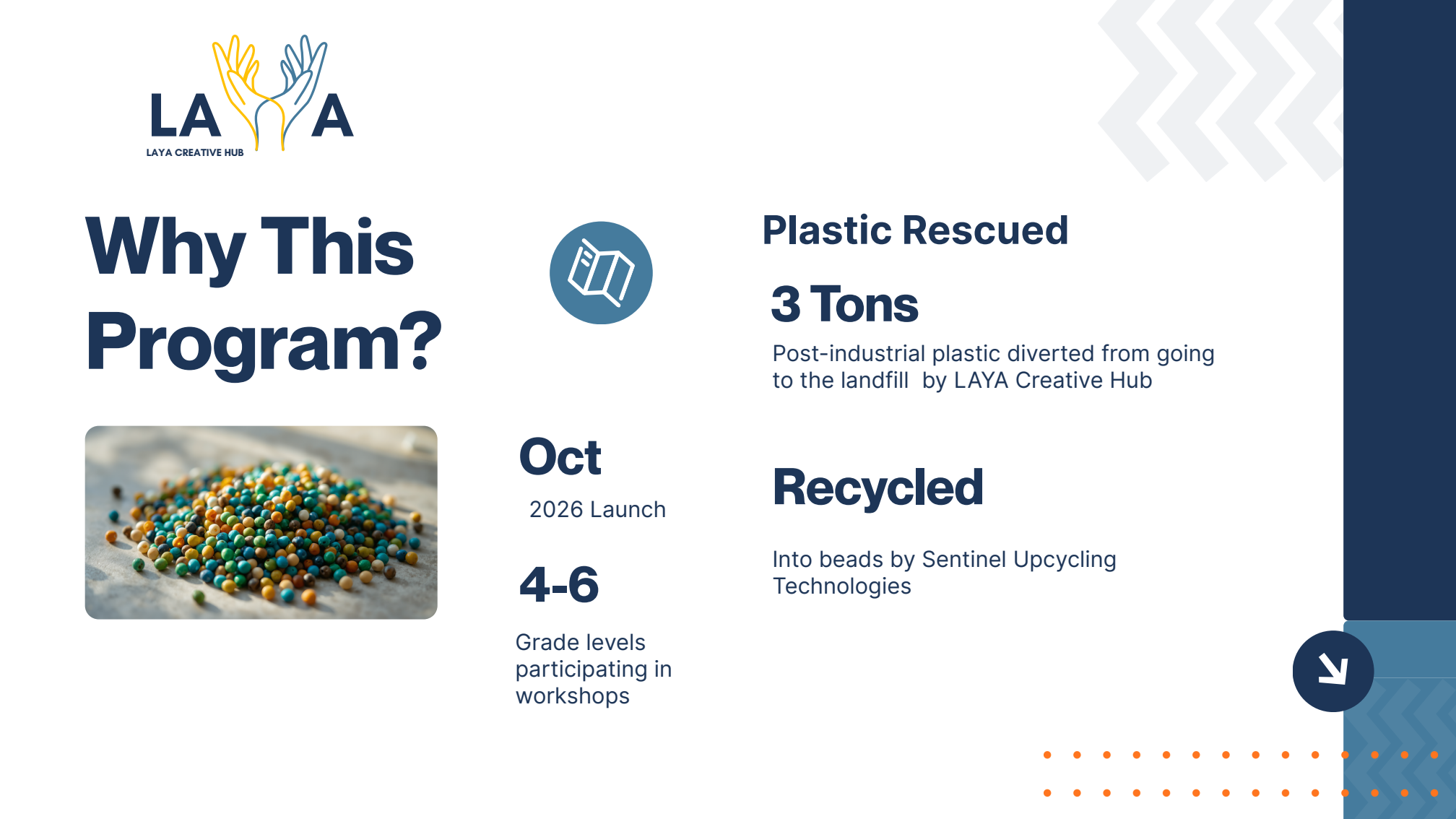 Program snapshot and plastic recovery goals